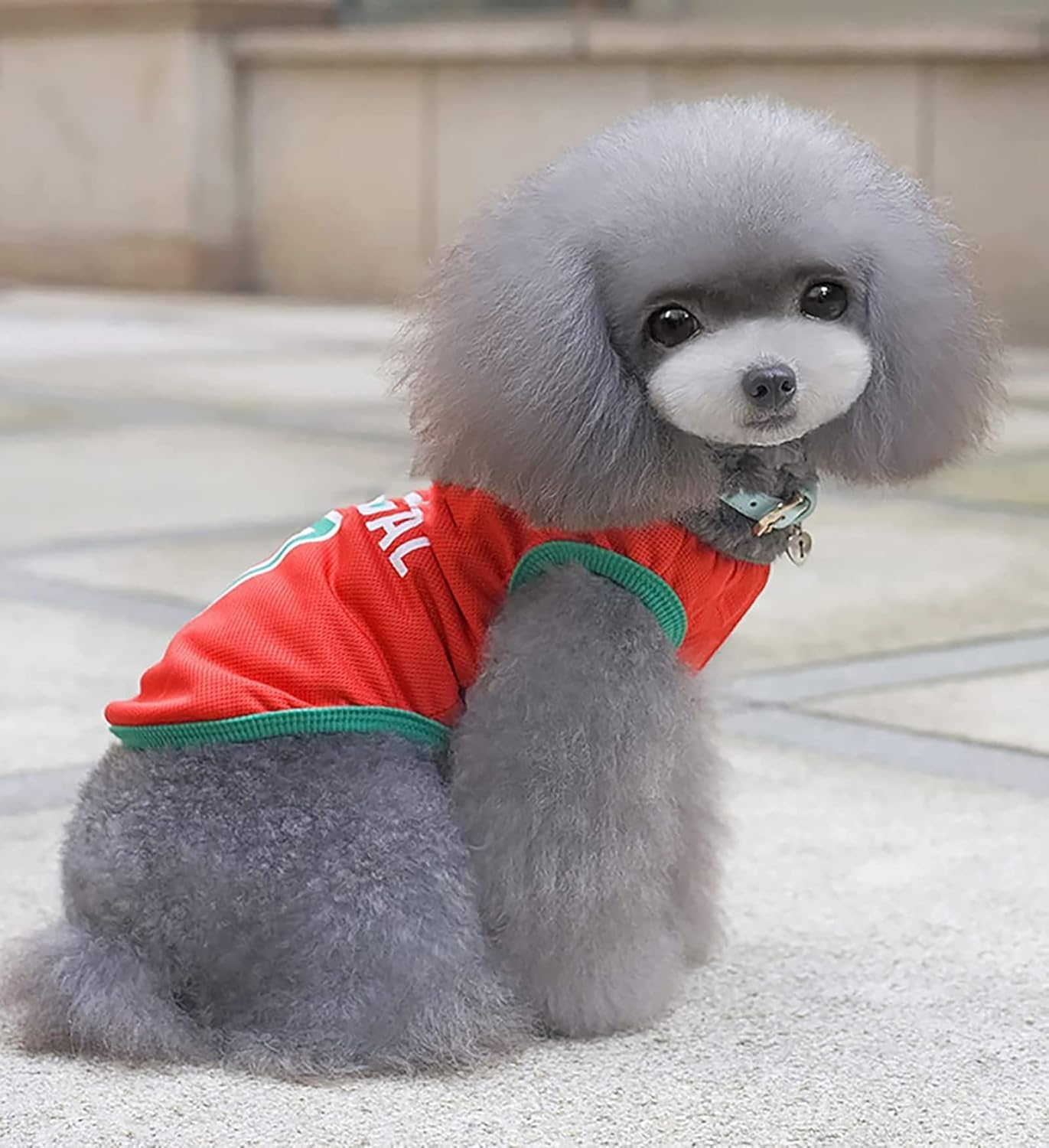 Parisian Portugal Dog Jersey