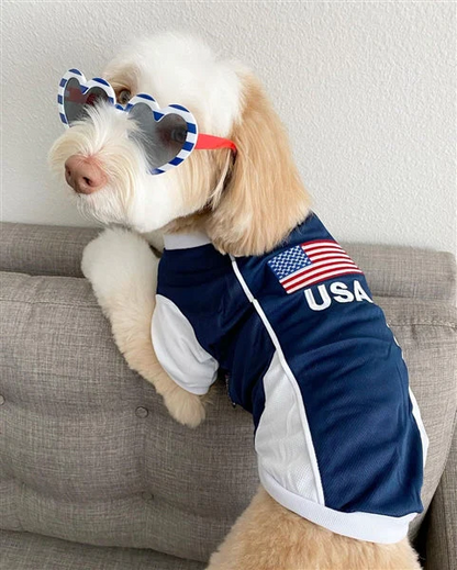 Parisian USA Dog Jersey