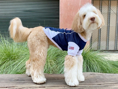 Parisian USA Dog Jersey