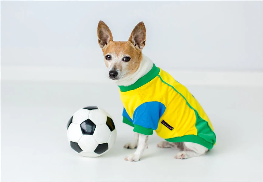 Parisian Pet Team Brazil Dog Jersey