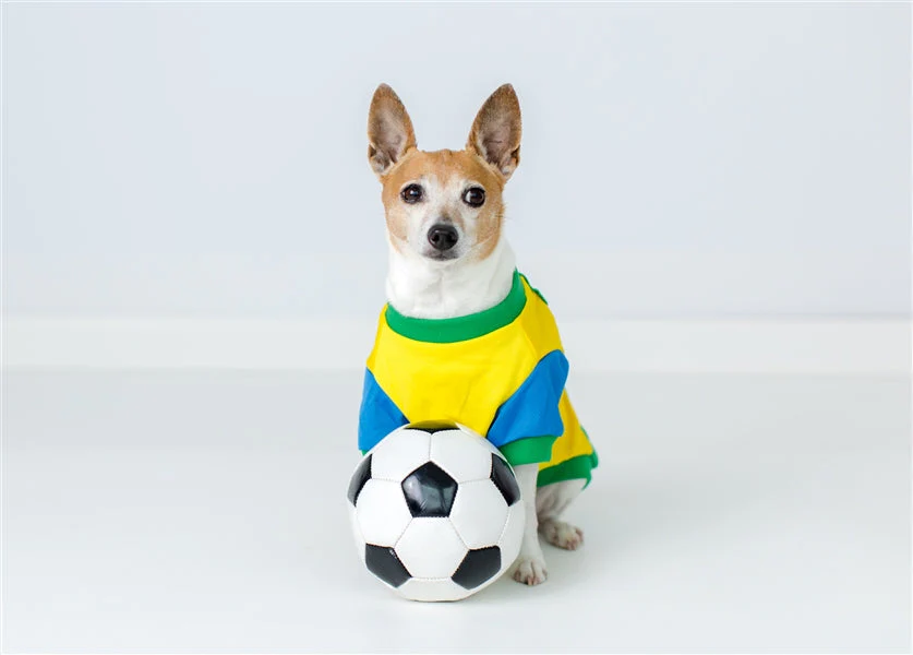 Parisian Pet Team Brazil Dog Jersey