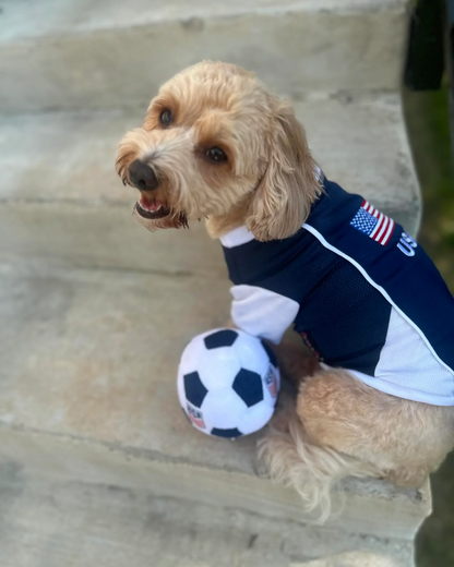 Parisian USA Dog Jersey