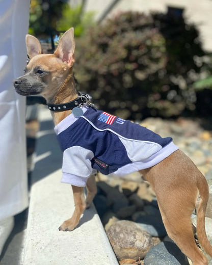 Parisian USA Dog Jersey