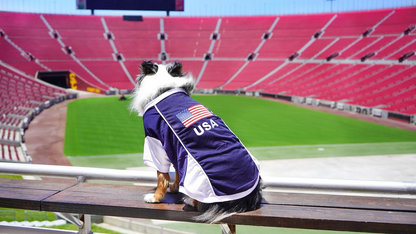 Parisian USA Dog Jersey